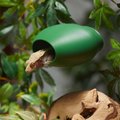 Stroodies BubbleLoft Gecko Hideout, Leaf Green, Regular/Adult