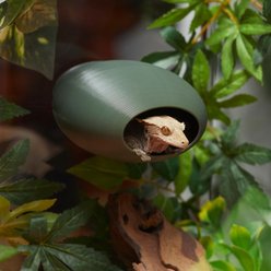 Stroodies BubbleLoft Gecko Hideout, Olive Drab, Regular/Adult