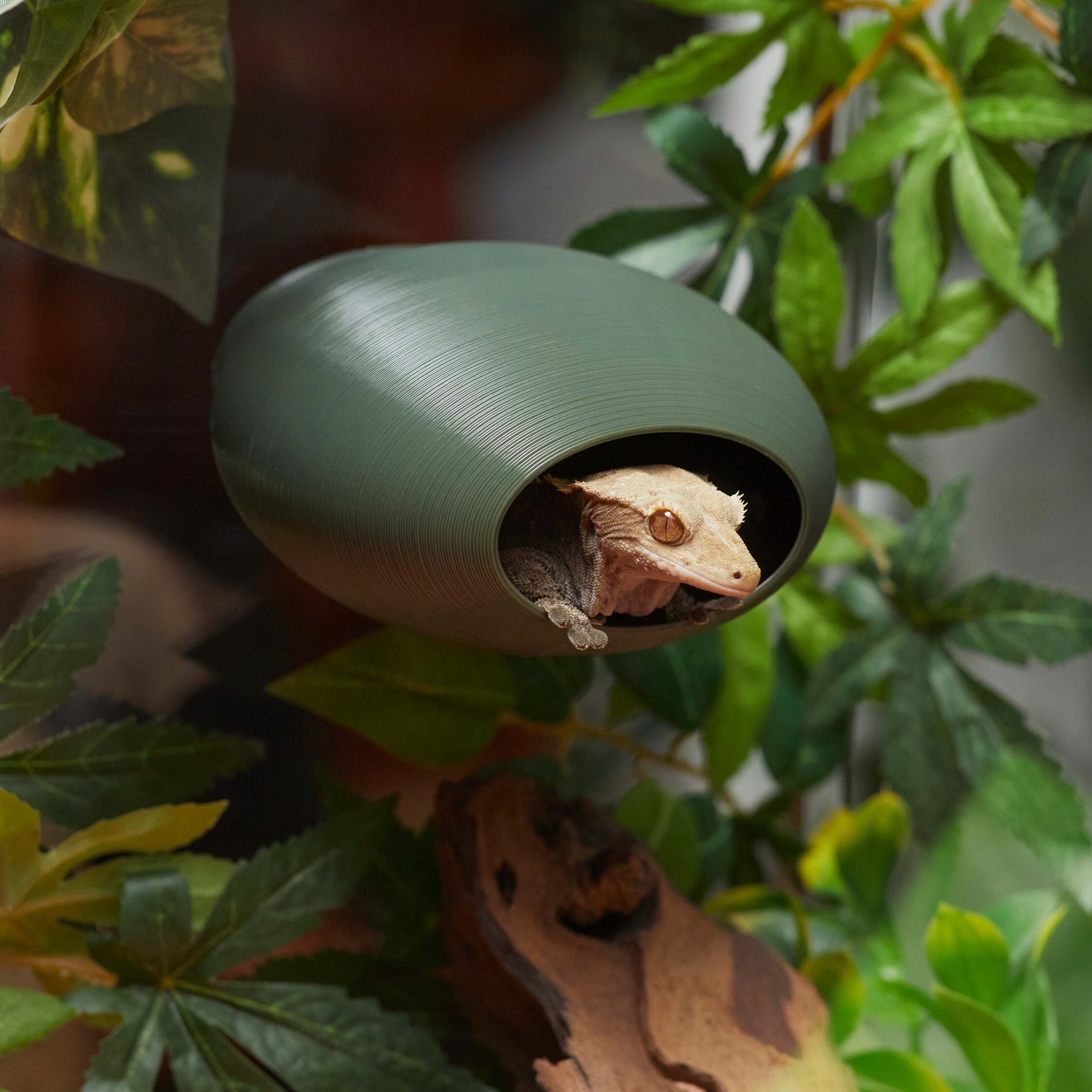 Stroodies BubbleLoft Gecko Hideout