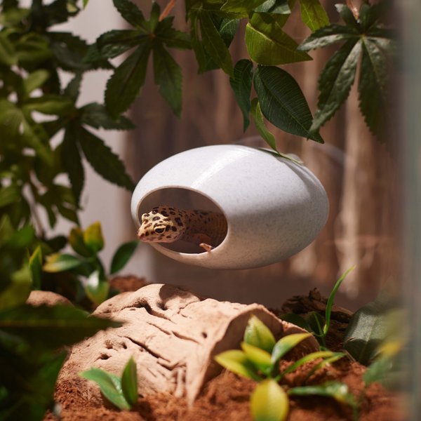 Stroodies BubbleLoft Gecko Hideout