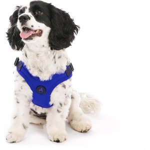 Gooby Escape Free Sport Step-In Small Dog Harness, Large, Blue