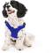 Show in main carousel: Gooby Escape Free Sport Dog Harness, Blue, Large: 16 to 24.25-in chest slide 1 of 7
