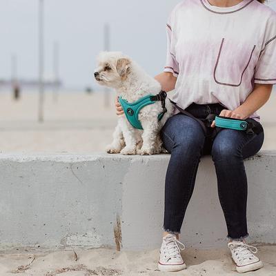 Show full view: Gooby Escape Free Sport Dog Harness, Blue, Large: 16 to 24.25-in chest slide 3 of 7