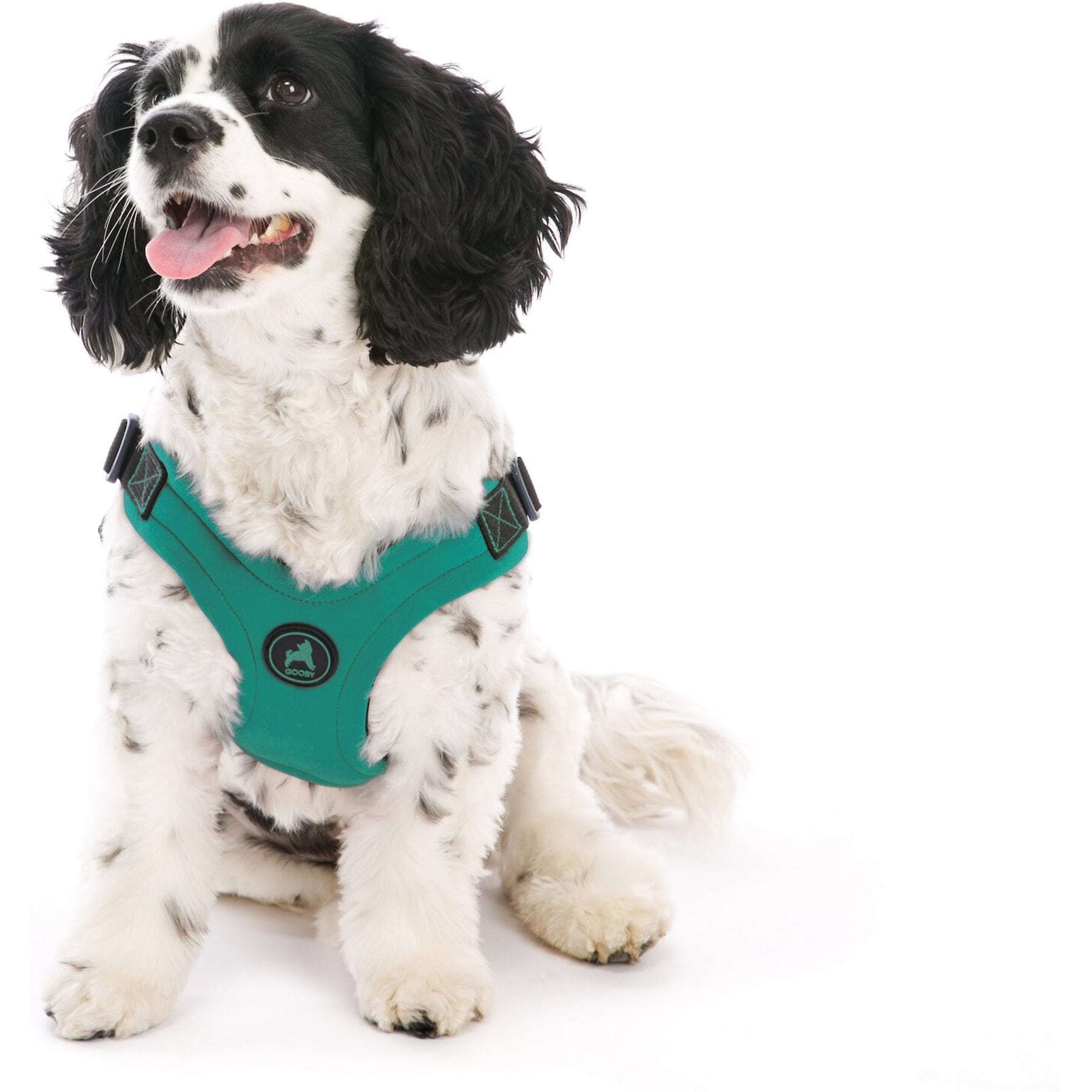 Gooby Gooby Escape Free Sport Dog Harness, Turquoise, Large: 16 to 24.25-in chest