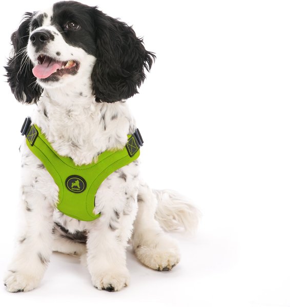 Gooby Escape Free Sport Step-In Small Dog Harness, Large, Lime slide 1 of 6