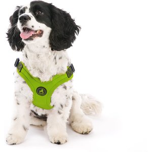 Gooby Escape Free Sport Step-In Small Dog Harness, Large, Lime