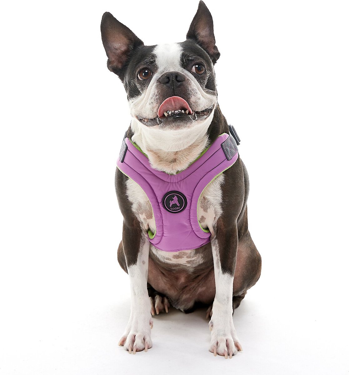 Gooby small 2024 dog harness