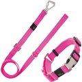 Pet Life Advent Outdoor Series 3M Reflective 2-in-1 Durable Martingale Training Dog Leash & Collar, Pink, Large