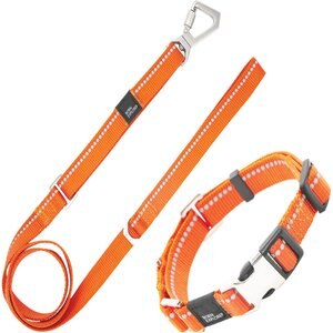 Pet Life Advent Outdoor Series 3M Reflective 2-in-1 Durable Martingale Training Dog Leash & Collar, Orange, Small