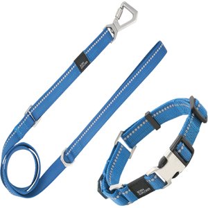 Pet Life Advent Outdoor Series 3M Reflective 2-in-1 Durable Martingale Training Dog Leash & Collar, Blue, Small