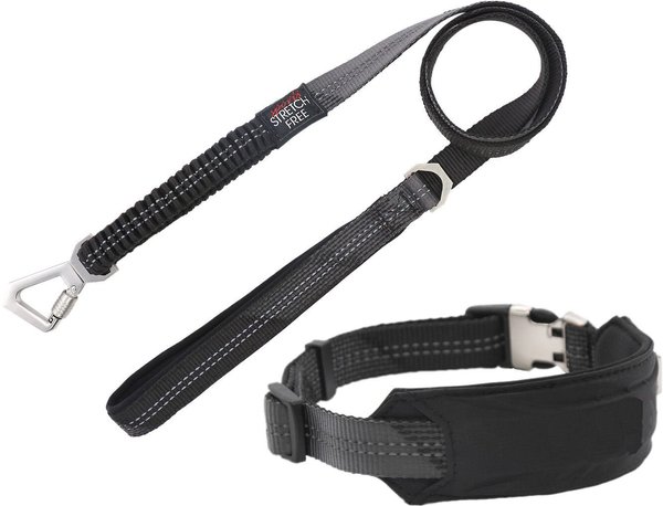 Pet Life Geo-prene 2-in-1 Shock Absorbing Neoprene Padded Reflective Dog Leash & Collar, Black, Large slide 1 of 3