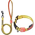 Touchdog Lumiglow 2-in-1 USB Charging LED Lighting Water-Resistant Dog Leash & Collar, Yellow, Large