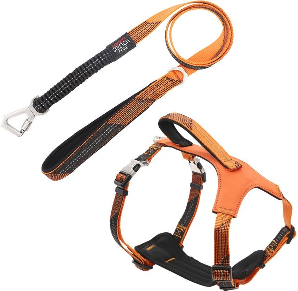 Pet Life Geo-prene 2-in-1 Shock Absorbing Neoprene Padded Reflective Dog Leash & Harness, Orange, Medium slide 1 of 3