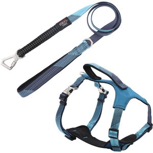 Pet Life Geo-prene 2-in-1 Shock Absorbing Neoprene Padded Reflective Dog Leash & Harness, Blue, Small