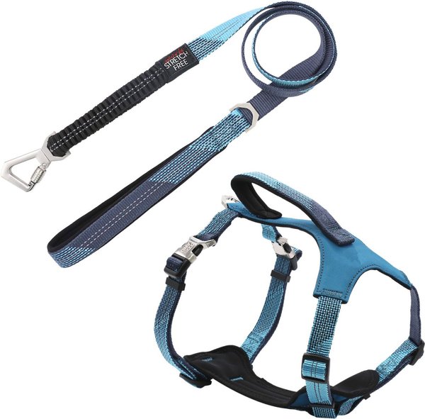 Pet Life Geo-prene 2-in-1 Shock Absorbing Neoprene Padded Reflective Dog Leash & Harness, Blue, Large slide 1 of 3
