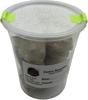 ABDragons Live Dubia Roaches Reptile, Bird, Fish & Small Pet Food, Small, 100 count