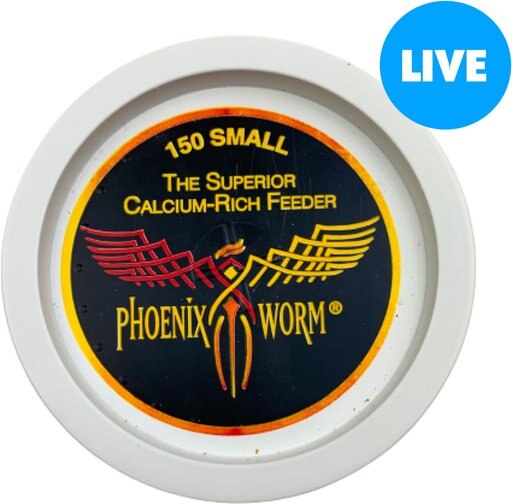 ABDragons Live Phoenix Worms Reptile, Bird, Fish & Small Pet Food, Small, 150 count