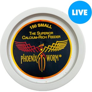 ABDragons Live Phoenix Worms Reptile, Bird, Fish & Small Pet Food, 300 count