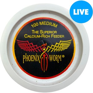ABDragons Medium Phoenix Worms Small Pet & Reptile Food, 100 count