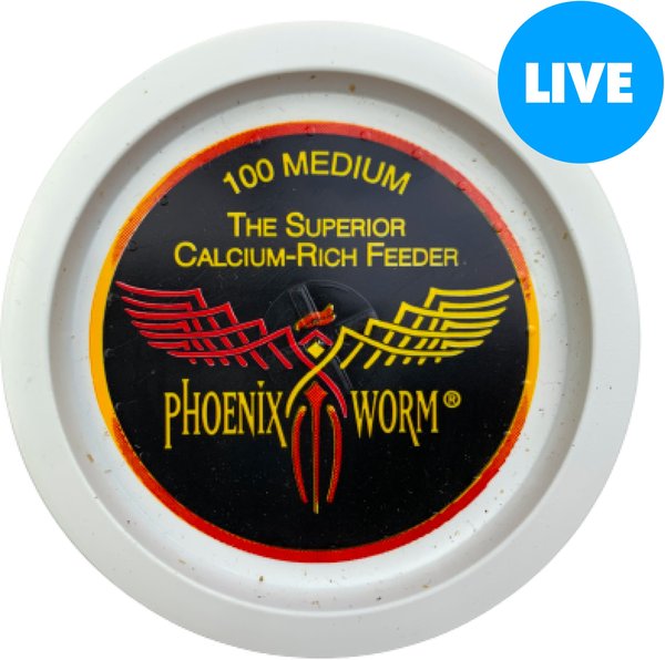 ABDragons Live Phoenix Worms Reptile, Bird, Fish & Small Pet Food, Medium, 200 count slide 1 of 4