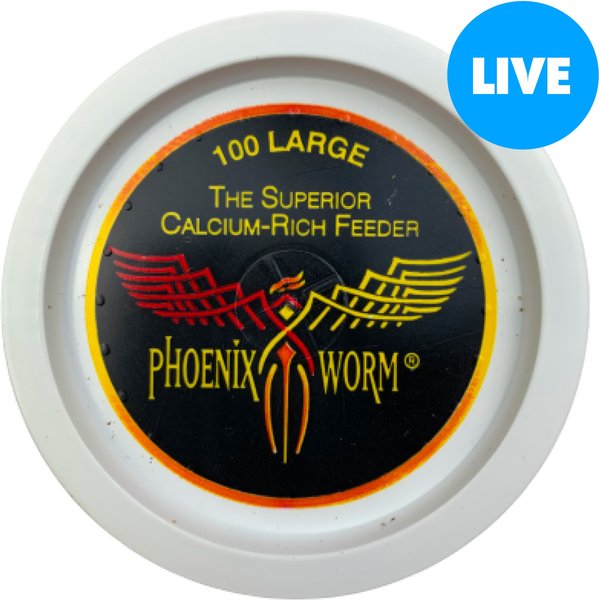 ABDragons Live Phoenix Worms Reptile, Bird, Fish & Small Pet Food, Large, 100 count slide 1 of 4
