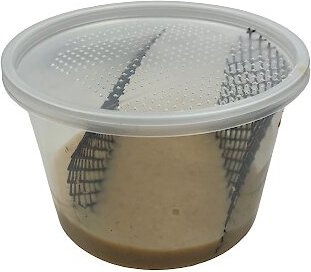 ABDragons Hornworm Food, 1-cup