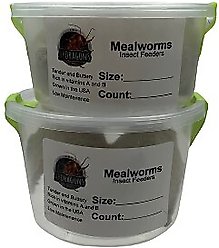 ABDragons Live Mealworms Reptile, Bird, Fish & Small Pet Food, Mini, 100 count slide 2 of 4