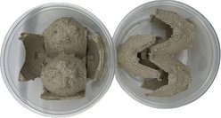ABDragons Live Mealworms Reptile, Bird, Fish & Small Pet Food, Small, 250 count slide 2 of 3