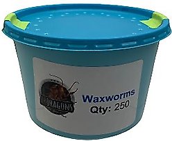 ABDragons Live Waxworms Reptile, Bird, Fish & Small Pet Food, 250 count slide 2 of 4