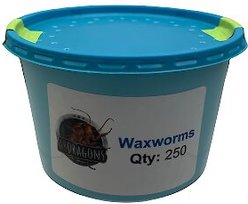 ABDragons Live Waxworms Reptile, Bird, Fish & Small Pet Food, 750 count slide 2 of 4