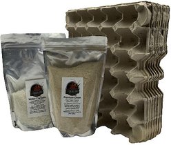 ABDragons Medium Insect Housing Kit