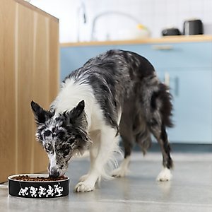 Disney Mickey Mouse Slow Feeder Dog & Cat Bowl, Black, Medium: 4 cup