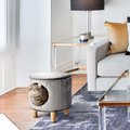 Max & Marlow Hide-a-way Cat Condo Stool, Gray