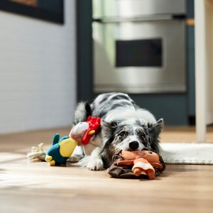 The 21 Best Dog Toys of 2024