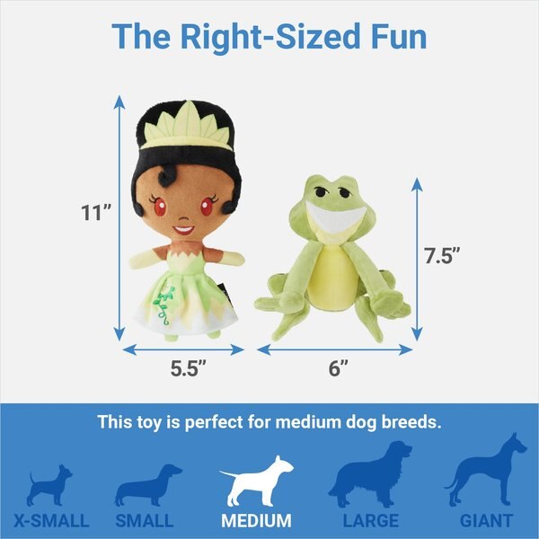 Disney Princess Tiana Plush Squeaky Dog Toy, 2 count