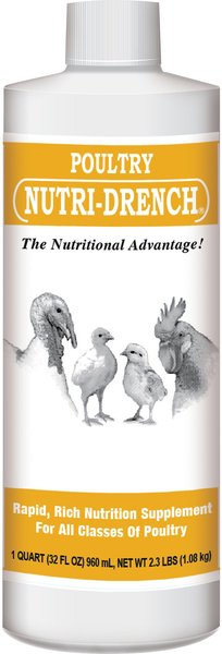 Bovidr Laboratories Nutri-Drench Poultry Supplement, 1-qt bottle slide 1 of 1