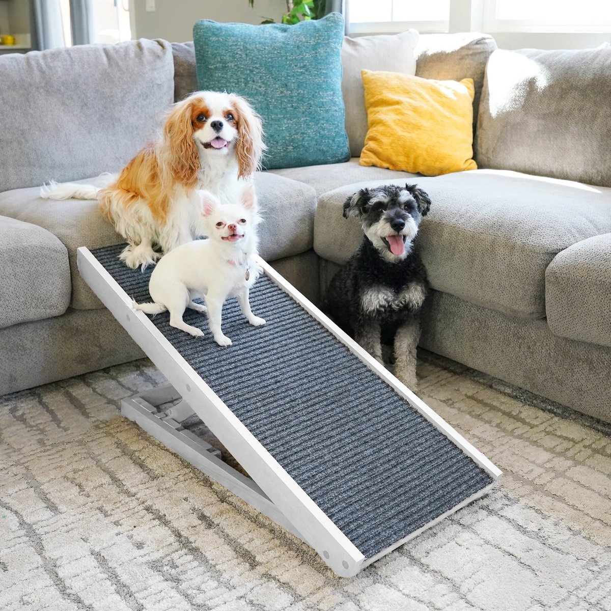 Top clearance paw ramp