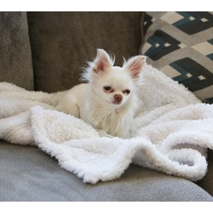 Alpha Paw Cozy Calming Dog Blanket, White, Medium