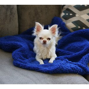 Alpha Paw Cozy Calming Dog Blanket, Blue, Medium