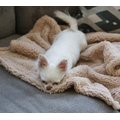 Alpha Paw Cozy Calming Dog Blanket, Beige, Large