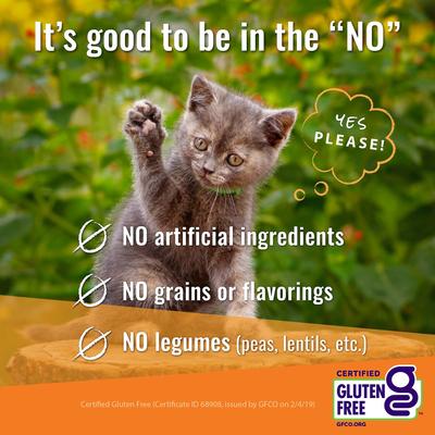 Show full view: Vital Essentials Minnows Freeze-Dried Cat Treats, 0.5-oz bag slide 4 of 6