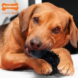 Nylabone Strong MAX Chew Cone Stuffable Chew Toy for Dogs MAX Rubber Stuffable Cone Beef Max, Medium slide 2 of 9