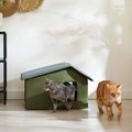 Frisco Extra Wide Indoor Unheated Cat House, Green