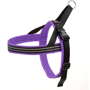 ComfortFlex Fully Padded Non-Chafing Reflective Sport Dog Harness, Purple, Small/Medium