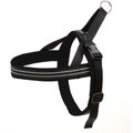 ComfortFlex Fully Padded Non-Chafing Reflective Sport Dog Harness, Raven, Medium