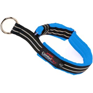 ComfortFlex Fully Padded Reflective Martingale Dog Collar, Blue Jay, Small