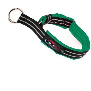 ComfortFlex Fully Padded Reflective Martingale Dog Collar, Kelly Green, Small
