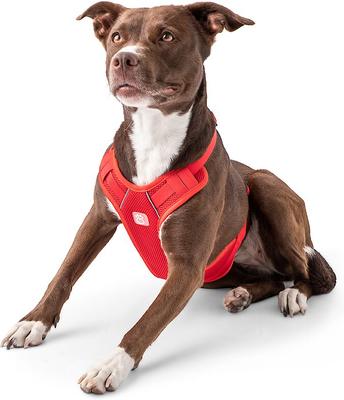 Show full view: GF Pet Travel Harness, Red, X-Small slide 6 of 7