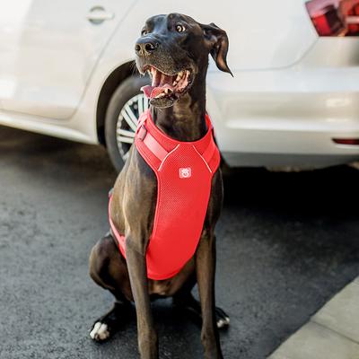 Show full view: GF Pet Travel Harness, Red, Small slide 5 of 8