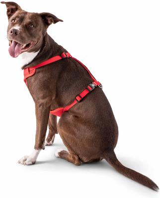 Show full view: GF Pet Travel Harness, Red, Medium slide 5 of 7